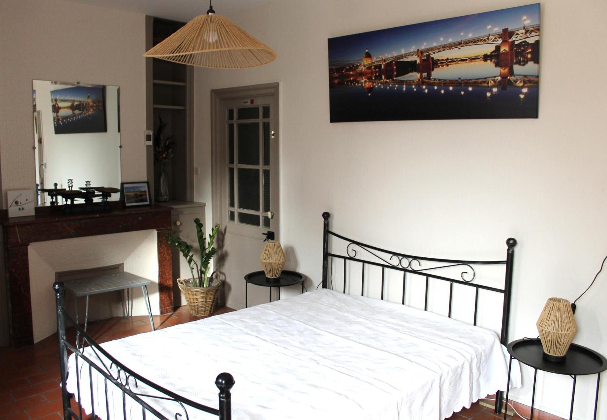Maison Toulousaine Avec Jardin Toulouse Ngoại thất bức ảnh